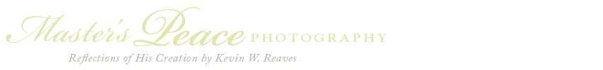 Master's Peace Photography