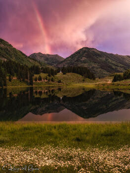 Peace in the Storm