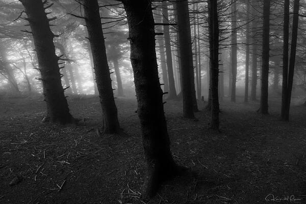 Into the Unknown print