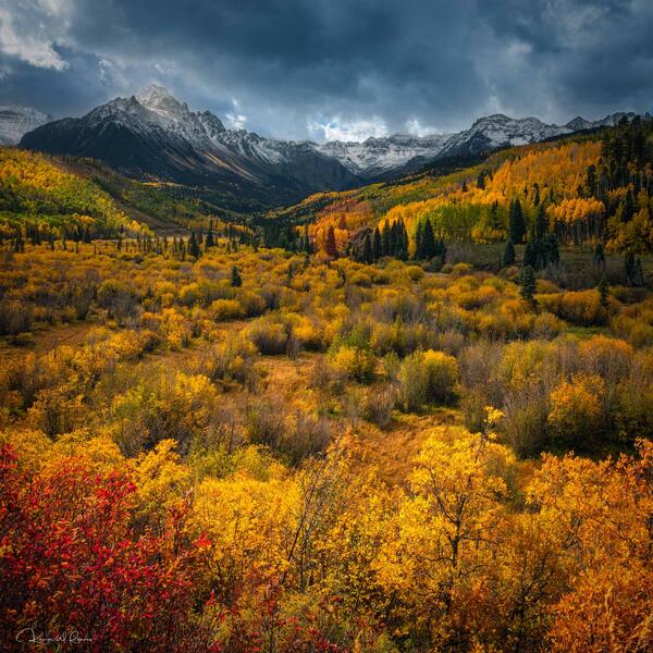 Valley of Gold print
