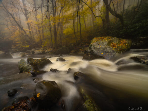 Silence in the Mist print