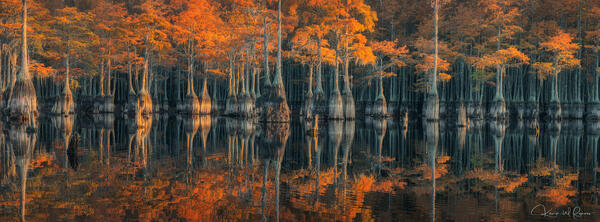 Blackwater print