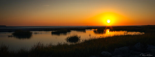 Tidewater Drift print