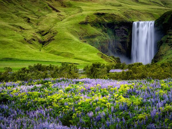 Summer Symphony at Skógafoss