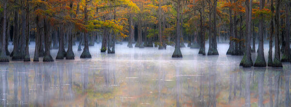 Autumn's Quiet Reflection print