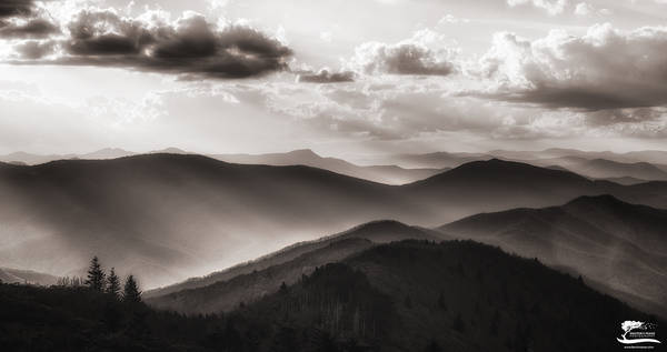Dancing Light II print