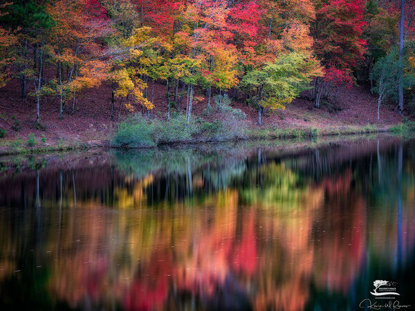 Opalescence