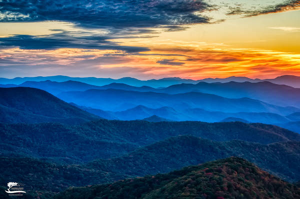 Painted Skies