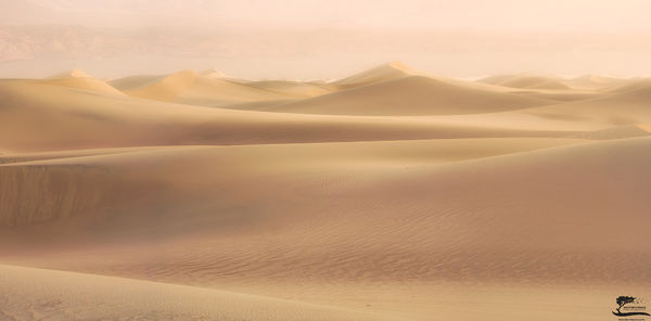 Shifting Sands print