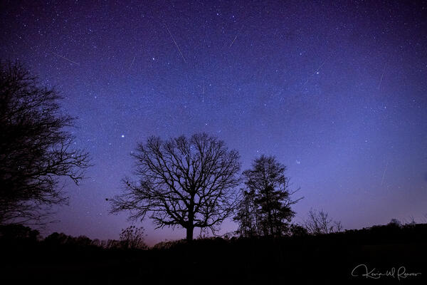 StarFall print
