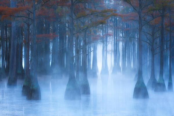 Ghost print