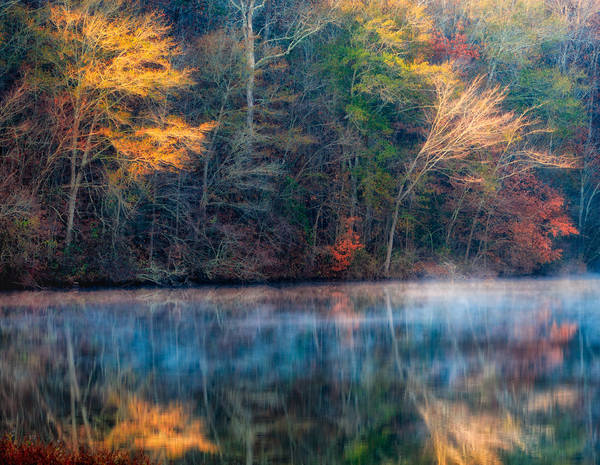 Peace in the Morning print