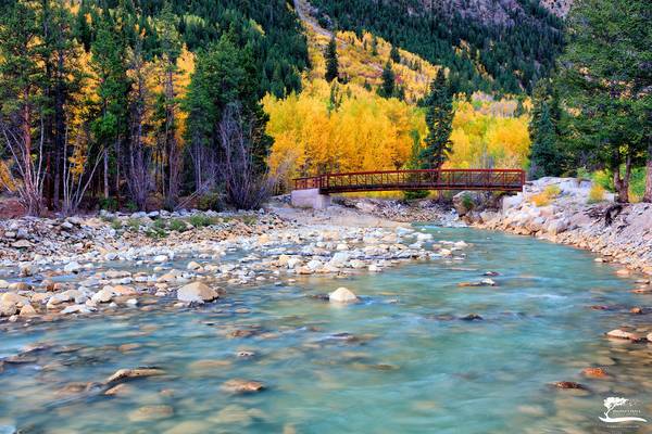 River of Color print