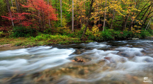 Water's Edge print