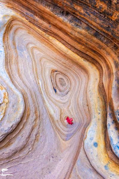 Whirl print