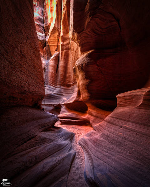 Heart Chamber print