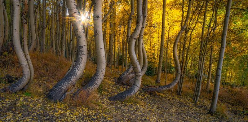 The Aspen Waltz