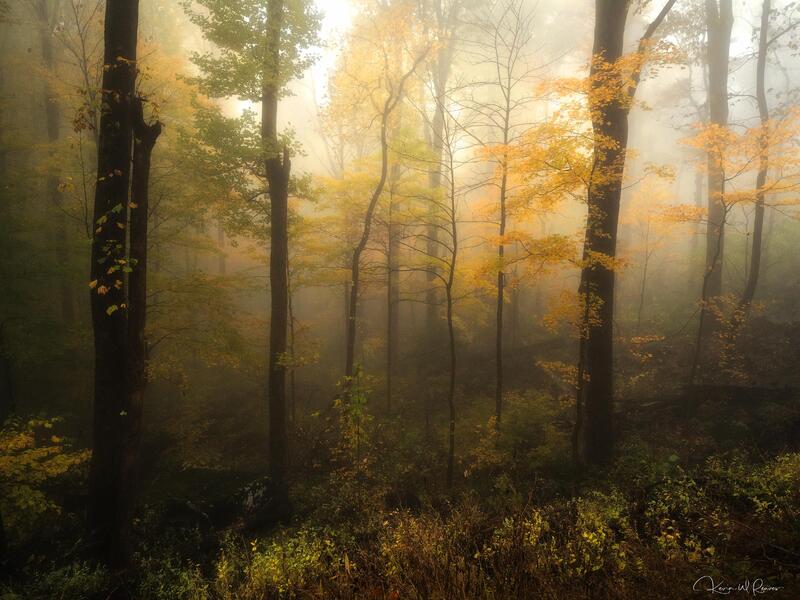 Autumn Sanctuary