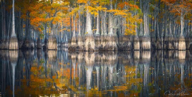 Song of the Cypress