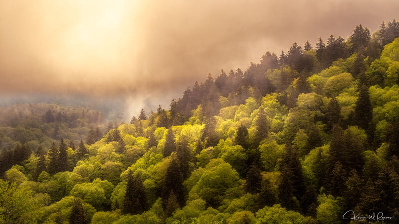 Whispers of Spring