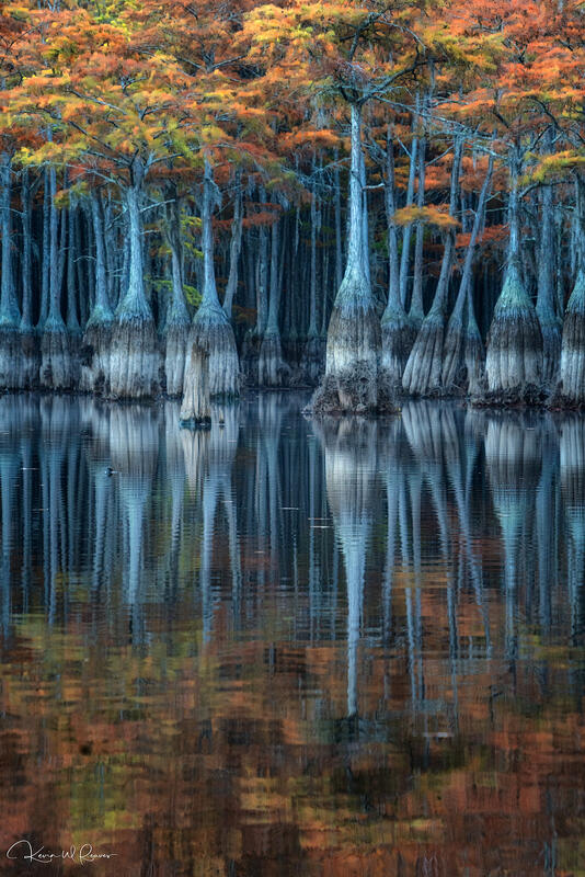 Autumn's Echo