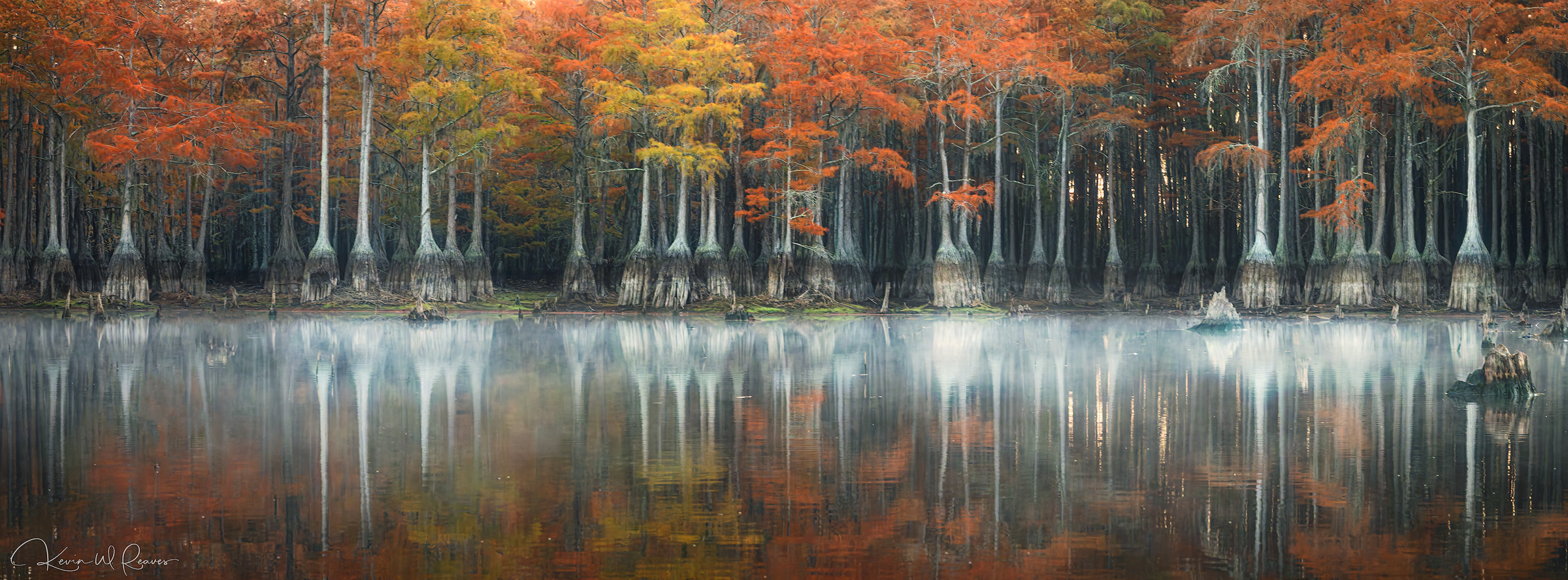 The Last Breath of Fall