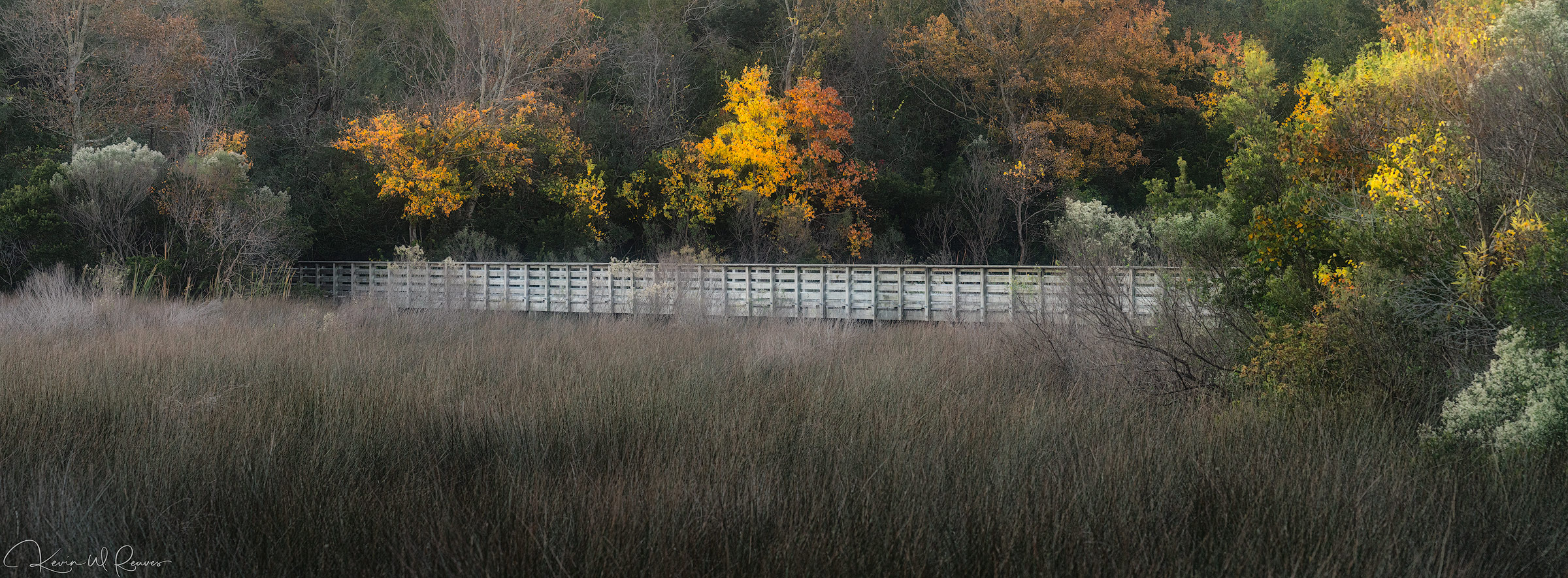 Marshland Fall